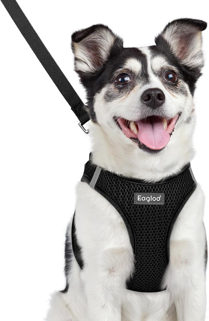 Eagloo Small Dog Harness and Leash Set, Step in Small Sized Puppy Pet Vest | Light, Soft, Breathable Air Mesh, Easy on and off with Hook & Loop, Reflective for Safe Walking, Pink, S26