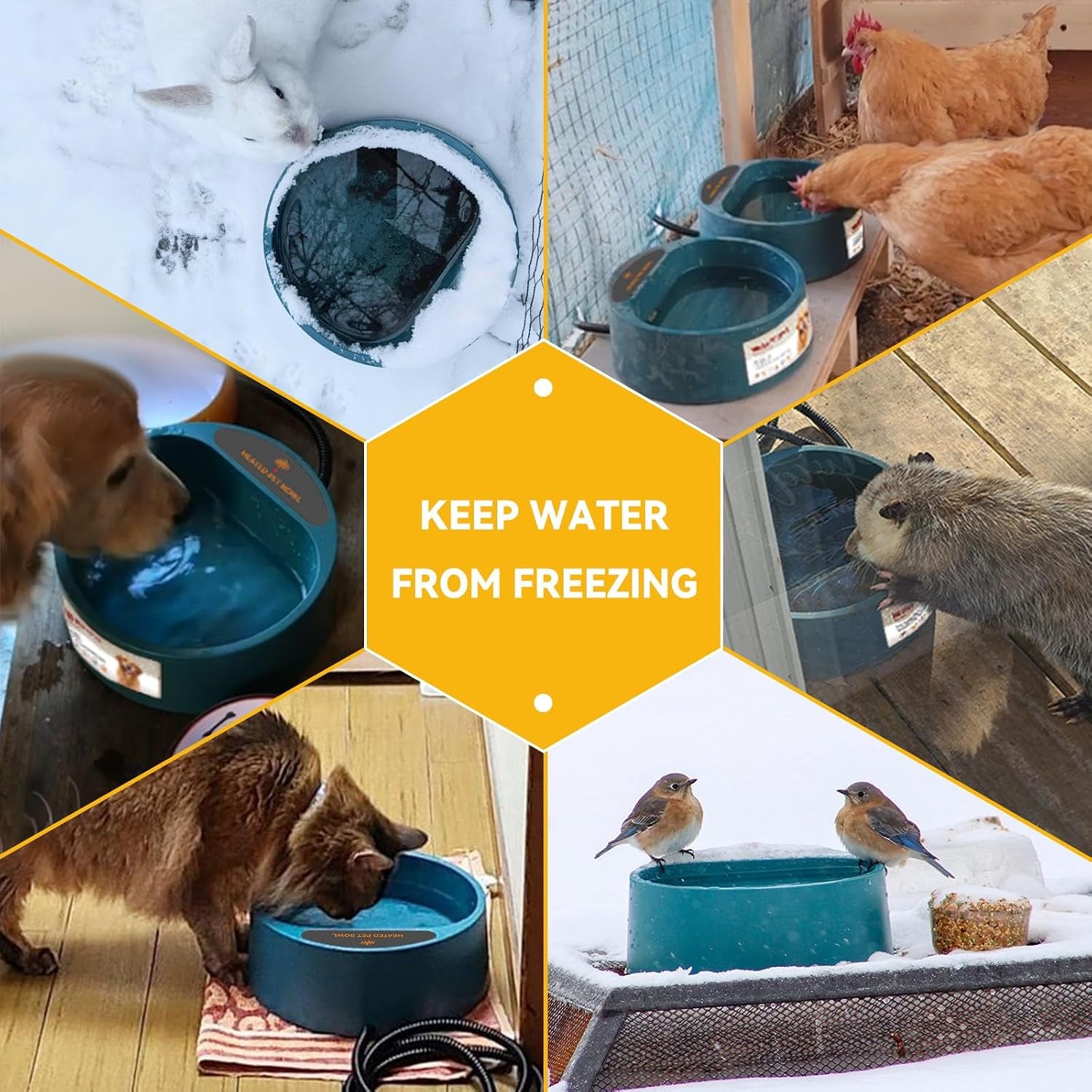 heated-dog-bowl-heated-water-bowl-for-outdoor-cats-winter-dog-water-dish-with-antibite-wire-heating-chicken-waterer-smart-thermal-bowl-for-rabbits-birds-feral-animals-35w-2-2l