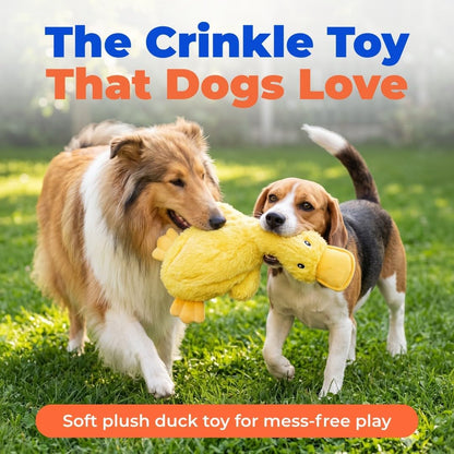 Best Pet Supplies Interactive Squeaky Dog Chew Toy, Ideal Dog Toys for Chewers, Small, Medium & Large Dogs, and Fetch Lovers - Crinkle Duck (Yellow), Large2