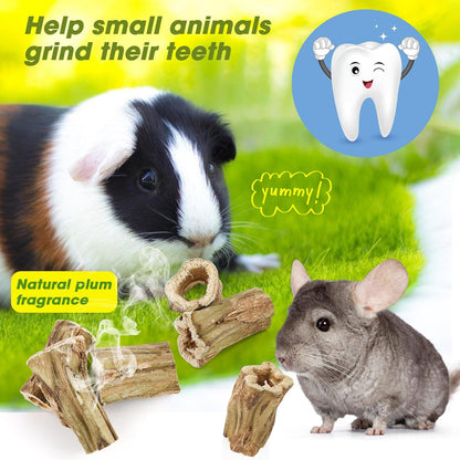 Abizoo Natural Bunny Chew Toys,6 Pcs Organic Papaya Wood Sticks Chew Toys for Rabbit,Hamster,Guinea Pig,Chinchilla,Gerbil,Rat Healthy Chews Teeth Grinding Treats, Squirrel Molar Snack3
