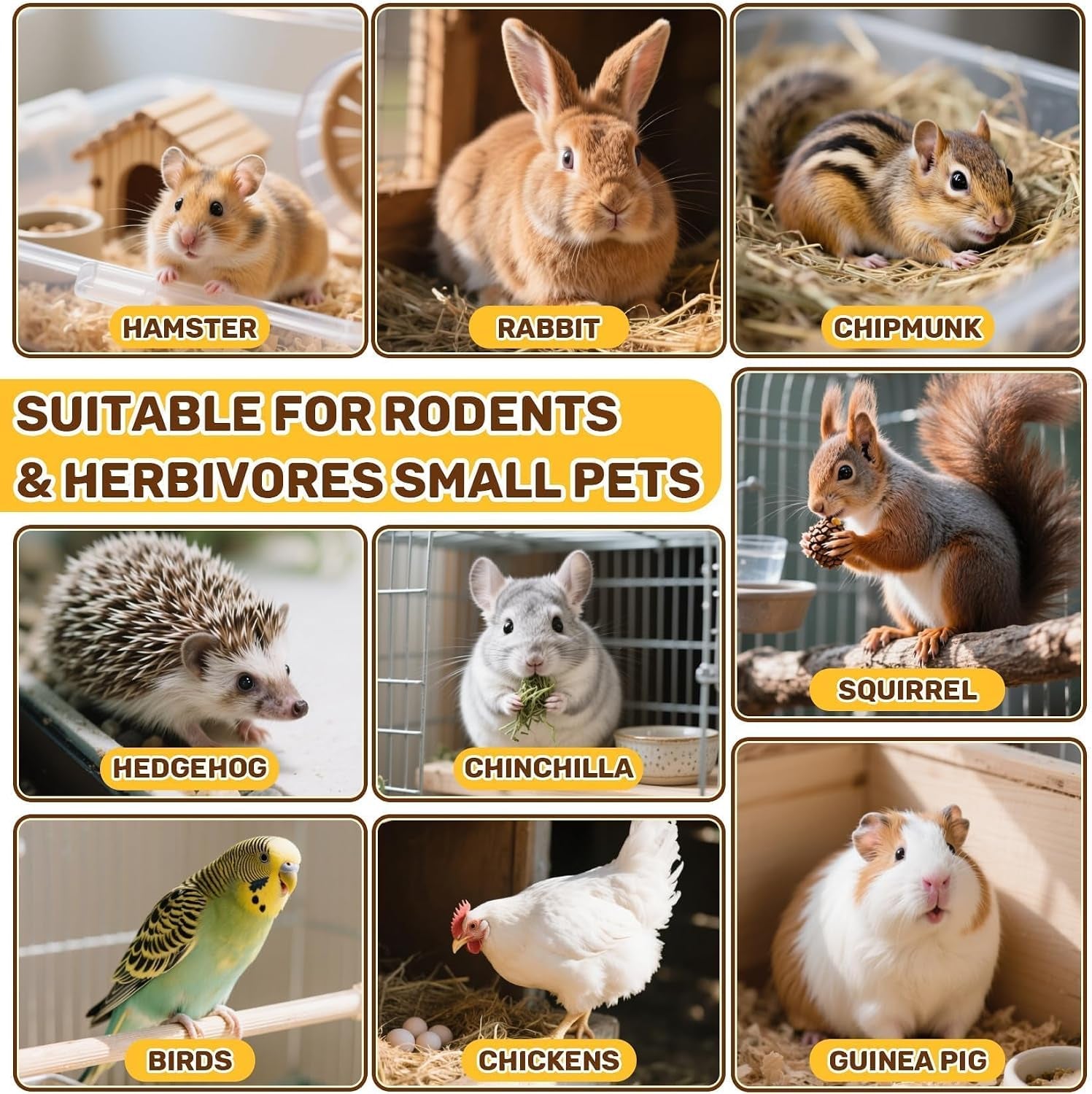 sukh-5-64oz-natural-botanical-rabbit-treats-for-guinea-pig-hamster-160g-healthy-natural-mixed-freeze-dried-vegetable-flower-fruit-hamster-treat-for-bunny-guinea-pig-hamster-chinchilla-gerbil