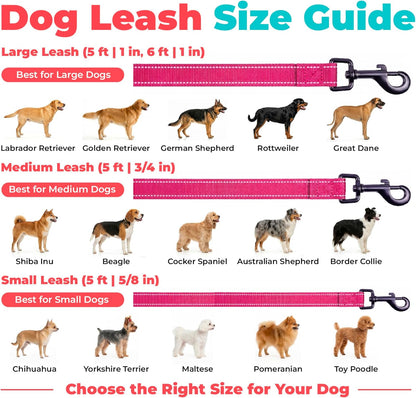 Best Pet Supplies Voyager Nylon Dog Leash - Fuchsia, Small | 5Ft in Length, 5/8" in Width, Reflective, Soft Neoprene Handle, Heavy Duty Metal Clips for Running, Walking & Training6