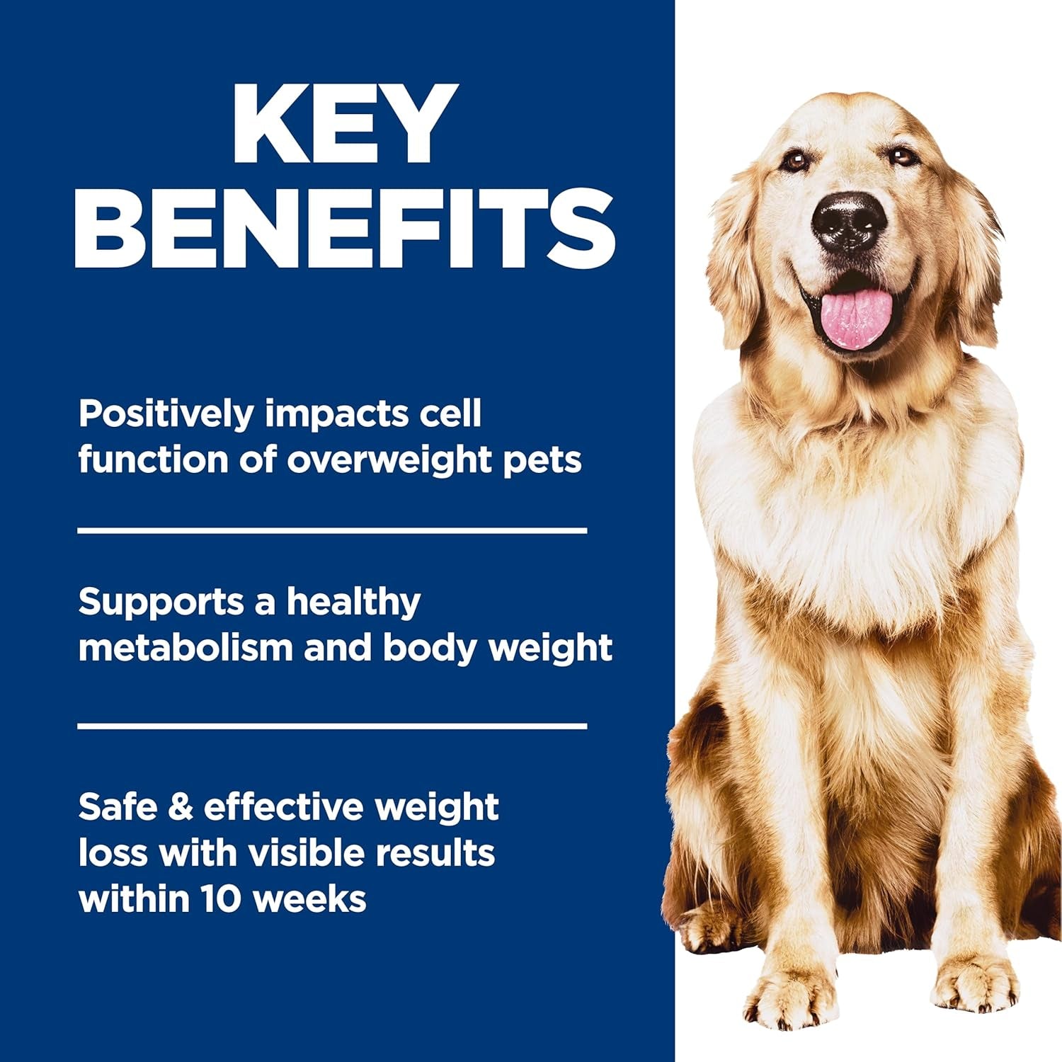 hills-science-diet-adult-perfect-weight-dry-dog-food-1-veterinarian-recommended-chicken-brown-rice-25-lb-bag