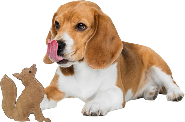 SPOT Dura-Fused Leather Squirrel Dog Toy – Real Leather & Jute Fabric, Double-Stitched & Durable, Soft Stuffed Squeaky Interactive Chew Toy for Moderate Chewers, Small & Medium Dogs, 8In19