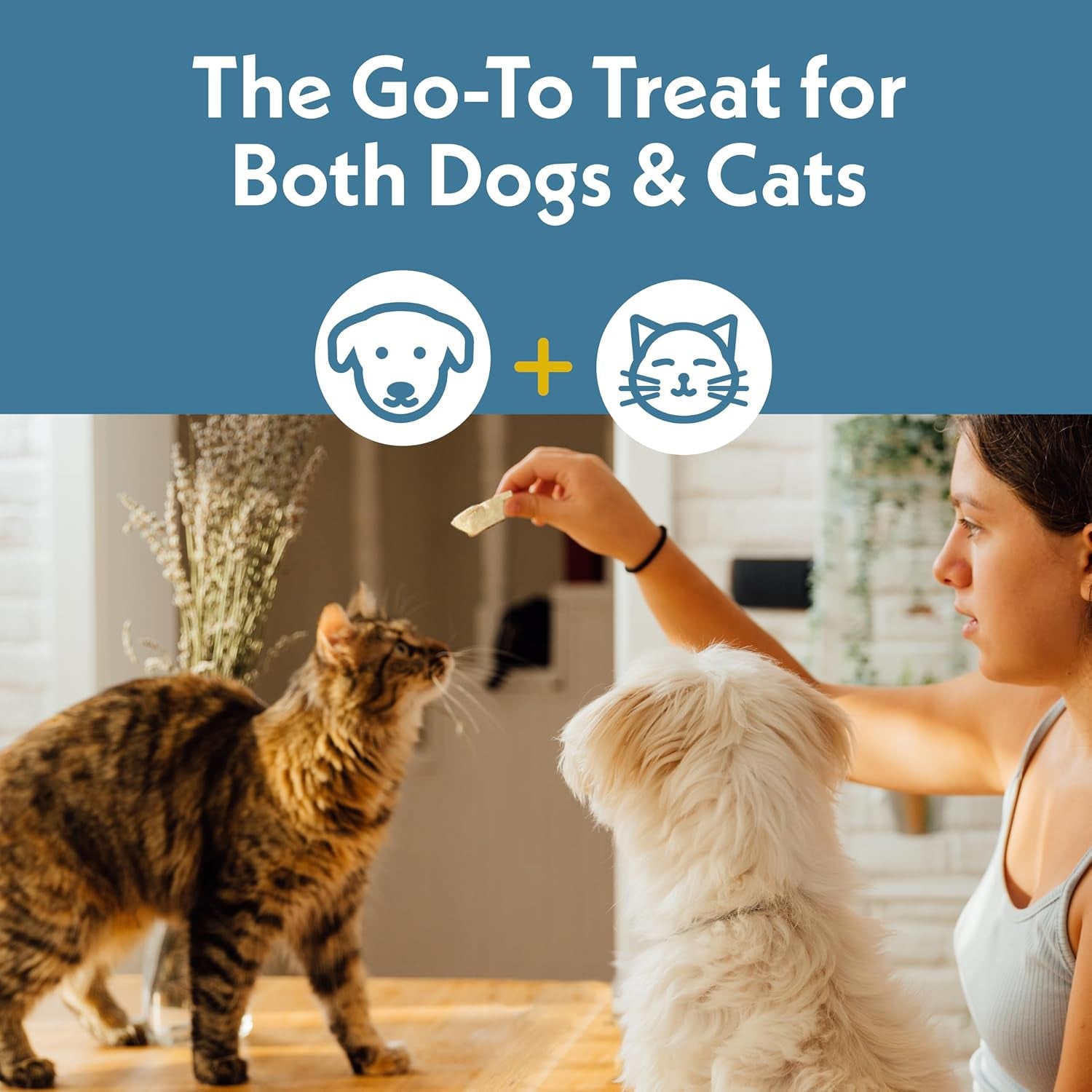 fresh-is-best-freeze-dried-dog-treats-raw-freeze-dried-chicken-breast-for-dogs-cats-healthy-dog-training-treats-in-resealable-zipper-bag-high-protein-single-ingredient-made-in-the-usa