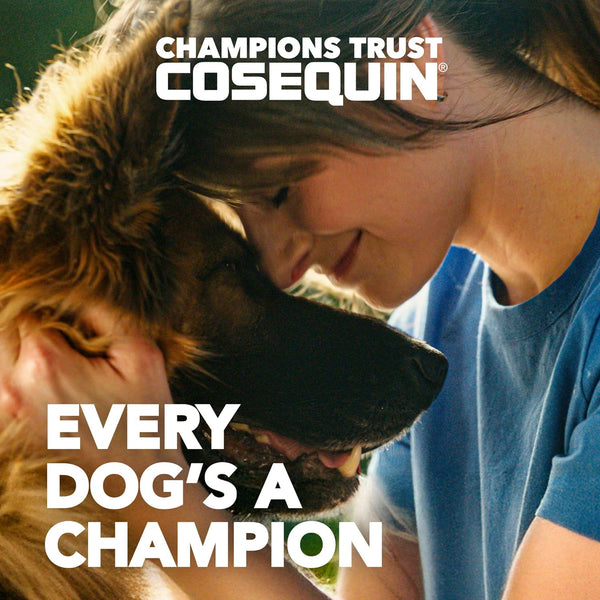 Nutramax Cosequin Dog Joint Supplement, Skin & Coat, Soft Chews, 60Ct | Glucosamine & Chondroitin for Dogs with MSM, Omega-3S, Supports Joints, Skin and Coat Health, All Ages & Sizes2