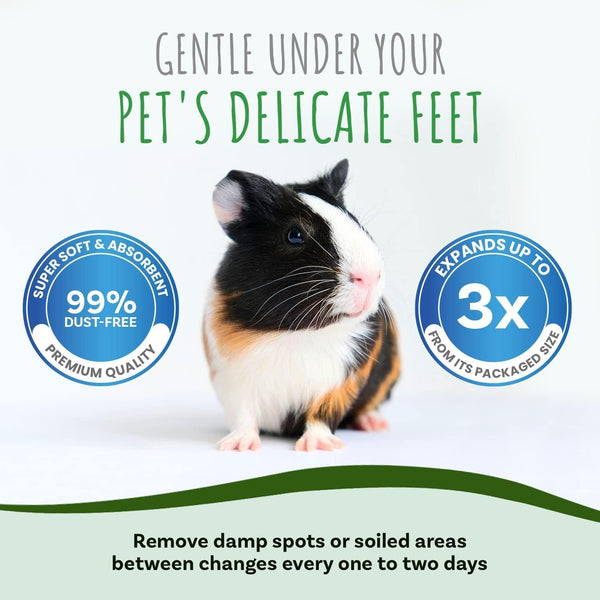 Small Pet Select Unbleached White Paper Bedding, 178L | Soft Absorbent Natural Bedding, Odor Control, Made in USA, for Guinea Pigs, Rabbits, Hamsters & Small Pets7