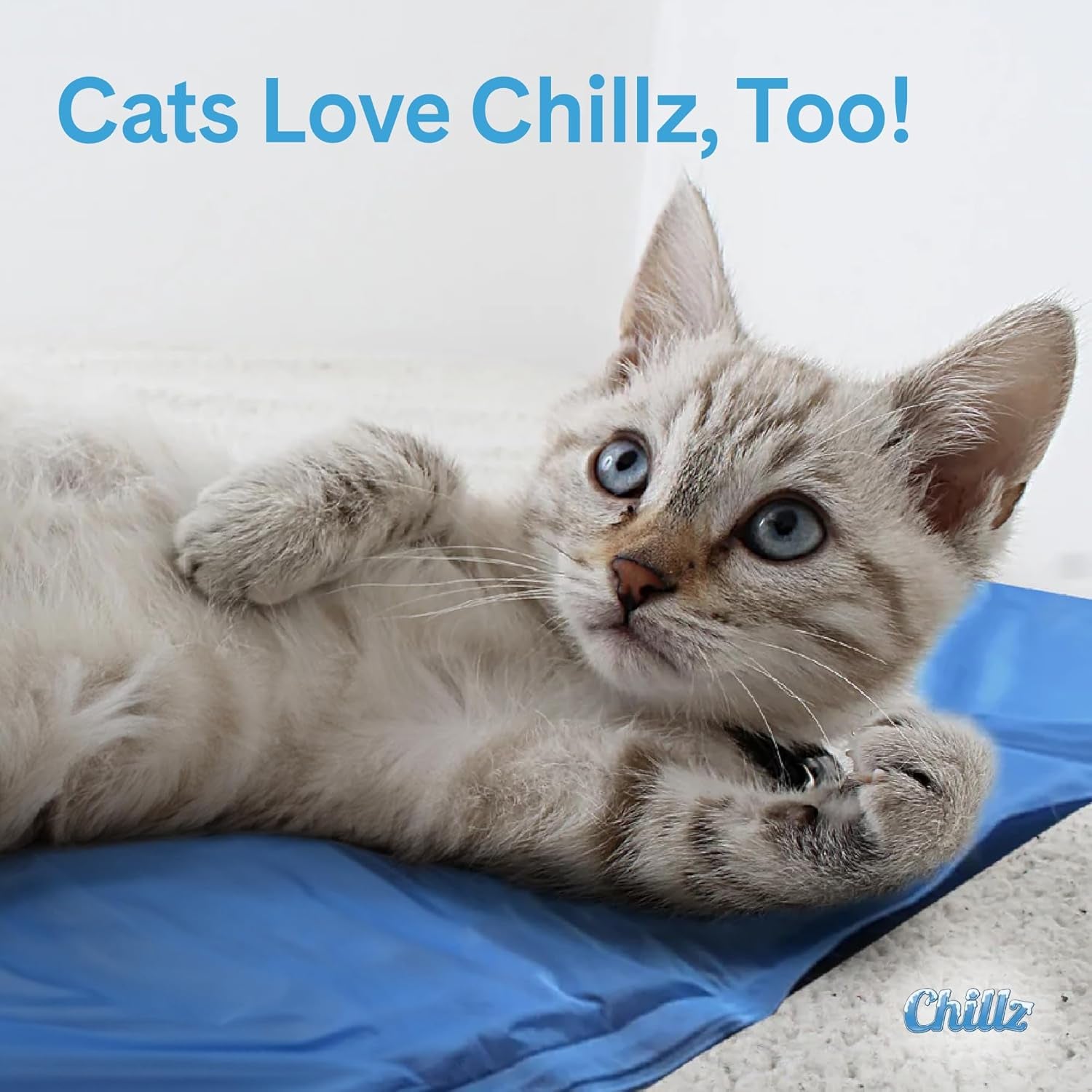 the-green-pet-shop-chillz-gel-mat-large-pressure-activated-cooling-pad-for-pets-25-50-lbs-non-toxic-no-water-or-refrigeration-needed-ideal-for-home-travel-crates