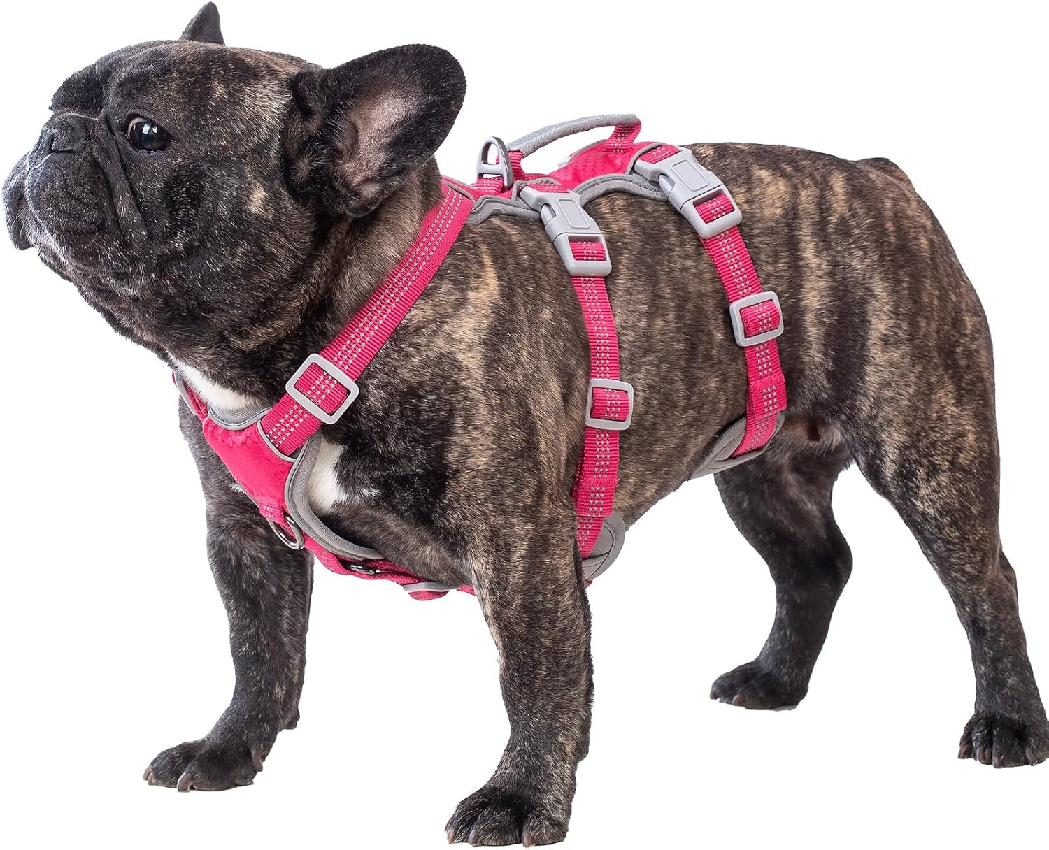 huntboo-escape-proof-dog-harness-escape-artist-harness-reflective-harness-with-padded-handle-breathable-durable-adjustable-vest-for-medium-dogs-walking-training-and-running-gear-blue-m
