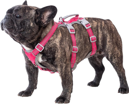 Huntboo Escape Proof Dog Harness, Escape Artist Harness, Reflective Harness with Padded Handle, Breathable, Durable, Adjustable Vest for Medium Dogs Walking, Training, and Running Gear (Blue, M)9