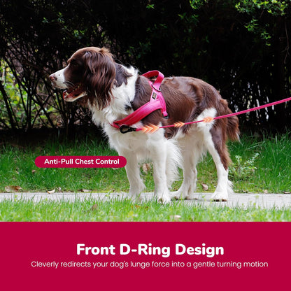 Didog No Pull Dog Harness for Small Dogs, Breathable Mesh Padded,Hot Pink,S | Quick Fit, Easy on and Off, Lightweight, Reflective Vest Harness for Night Safty, Easy for Walking and Training, Chest 18-22"5