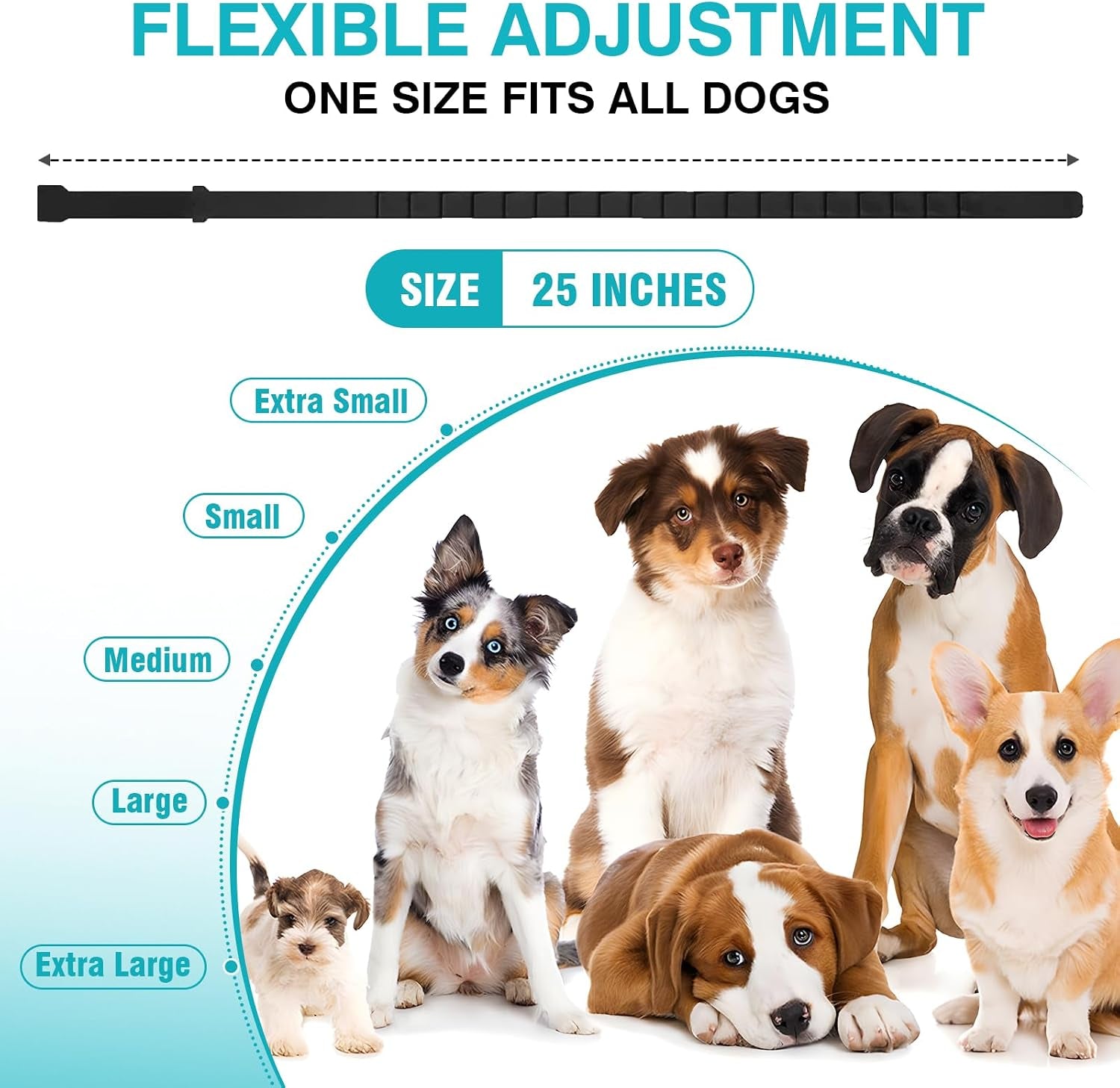 calming-collar-for-dogs-6-packs-dog-calming-pheromones-collar-separation-anxiety-and-stress-relief-anti-anxiety-60-days-calm-pheromone-collars-for-small-medium-large-dogs-25-inch-adjustable-waterproof