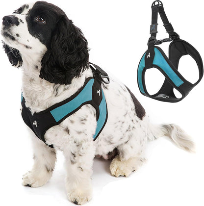Gooby - Escape Free Easy Fit Harness, Small Dog Step-In Harness for Dogs That like to Escape Their Harness, Turquoise, Small1