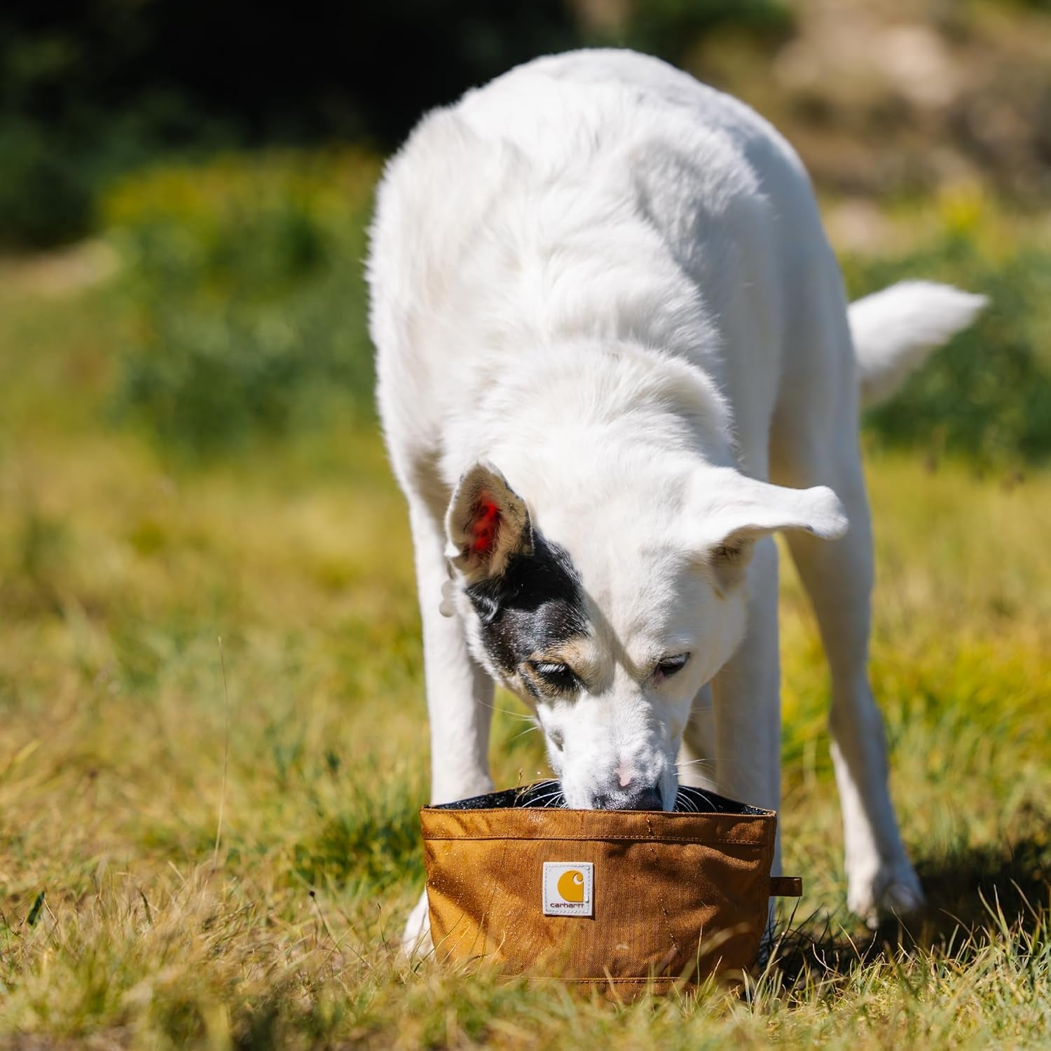 carhartt-nylon-duck-travel-dog-bowl-carhartt-brown-packable-dog-bowl-for-food-and-water-10-cup-capacity