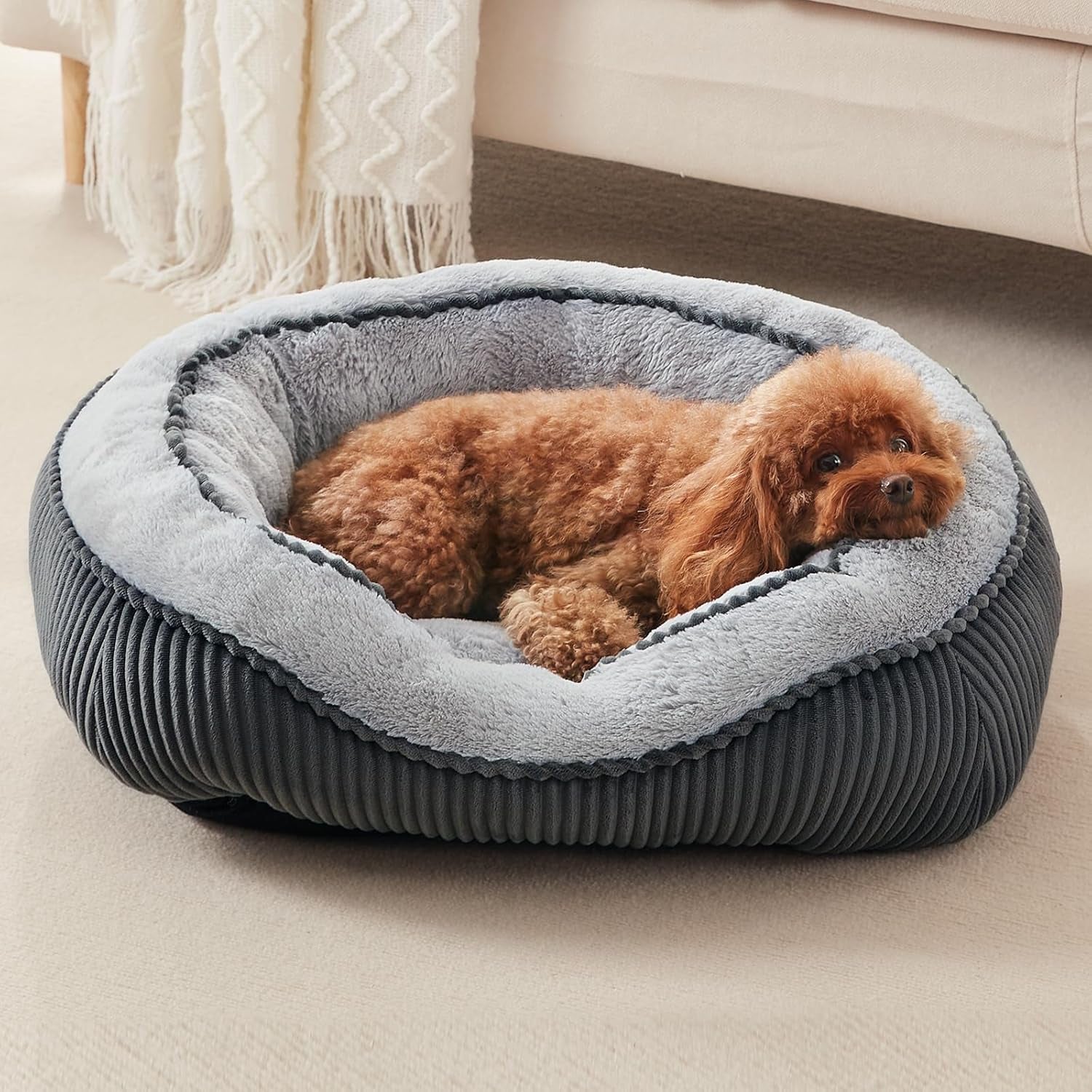washable-dog-bed-for-small-medium-sized-dogs-rectangle-small-puppy-cat-dog-beds-orthopedic-pet-bed-soft-breathable-calming-pet-sofa-bed-anti-anxiety-with-anti-slip-buttom-s20x19x6