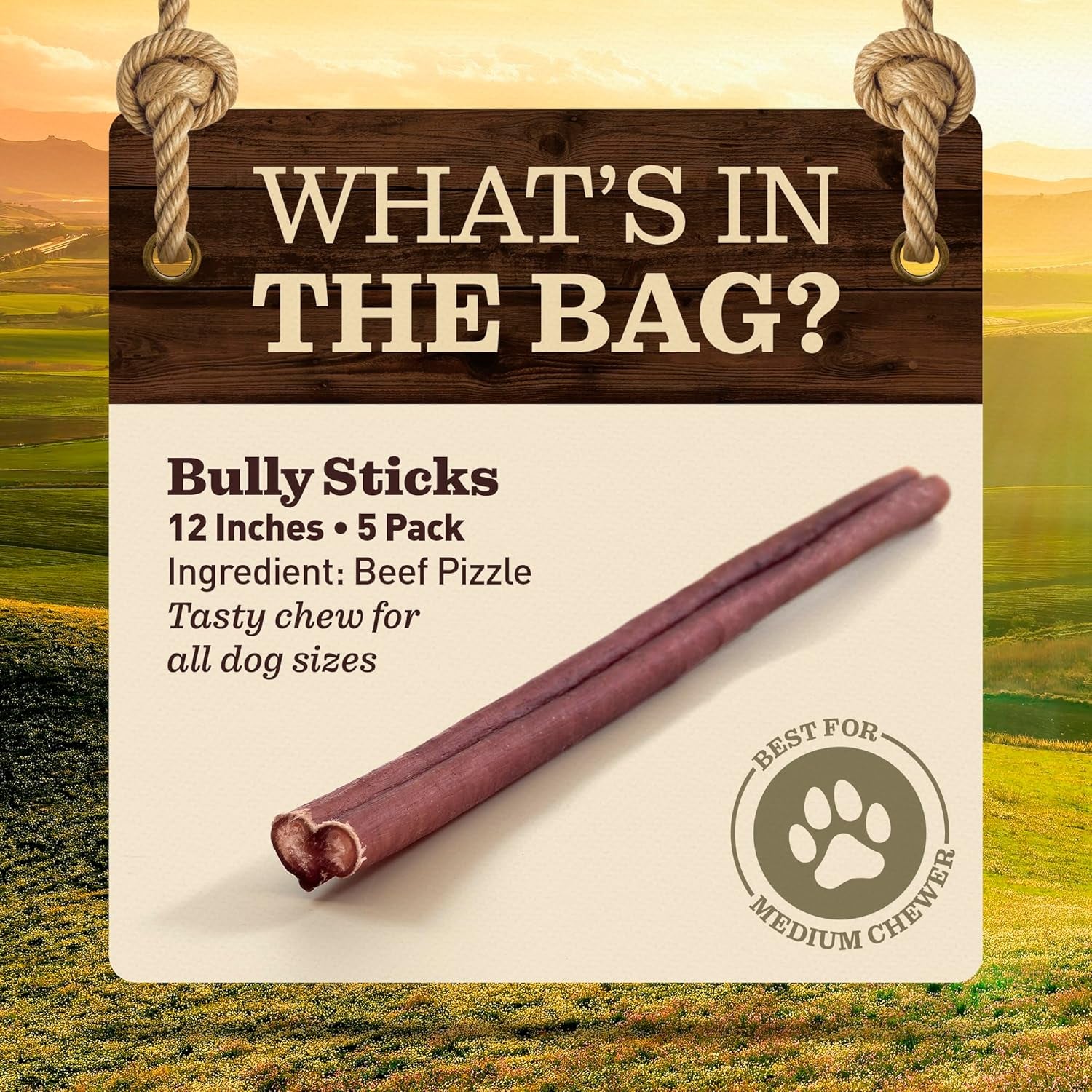 pet-odor-free-standard-bully-sticks-12-5-pack-100-grass-fed-beef-pizzle-dog-chews-fully-digestible-long-lasting-dental-treats