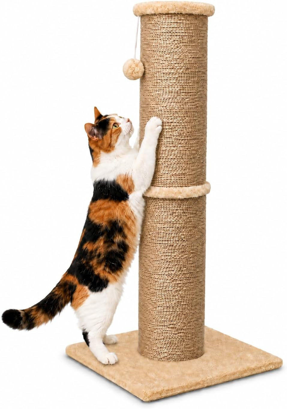 pawscrat-32-inch-tall-cat-scratching-post-5-5-inch-diameter-sisal-beige-natural-sisal-scratching-surface-with-a-dangling-ball-for-indoor-cats-scratch-resistant-durable-and-protect-your-furniture
