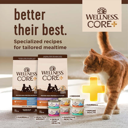 Wellness CORE+ Adult Dry Cat Food for Indoor Cats, Natural, Grain Free Kibble, Chicken, Turkey and Chicken Meal Recipe, 5 Lb Bag8