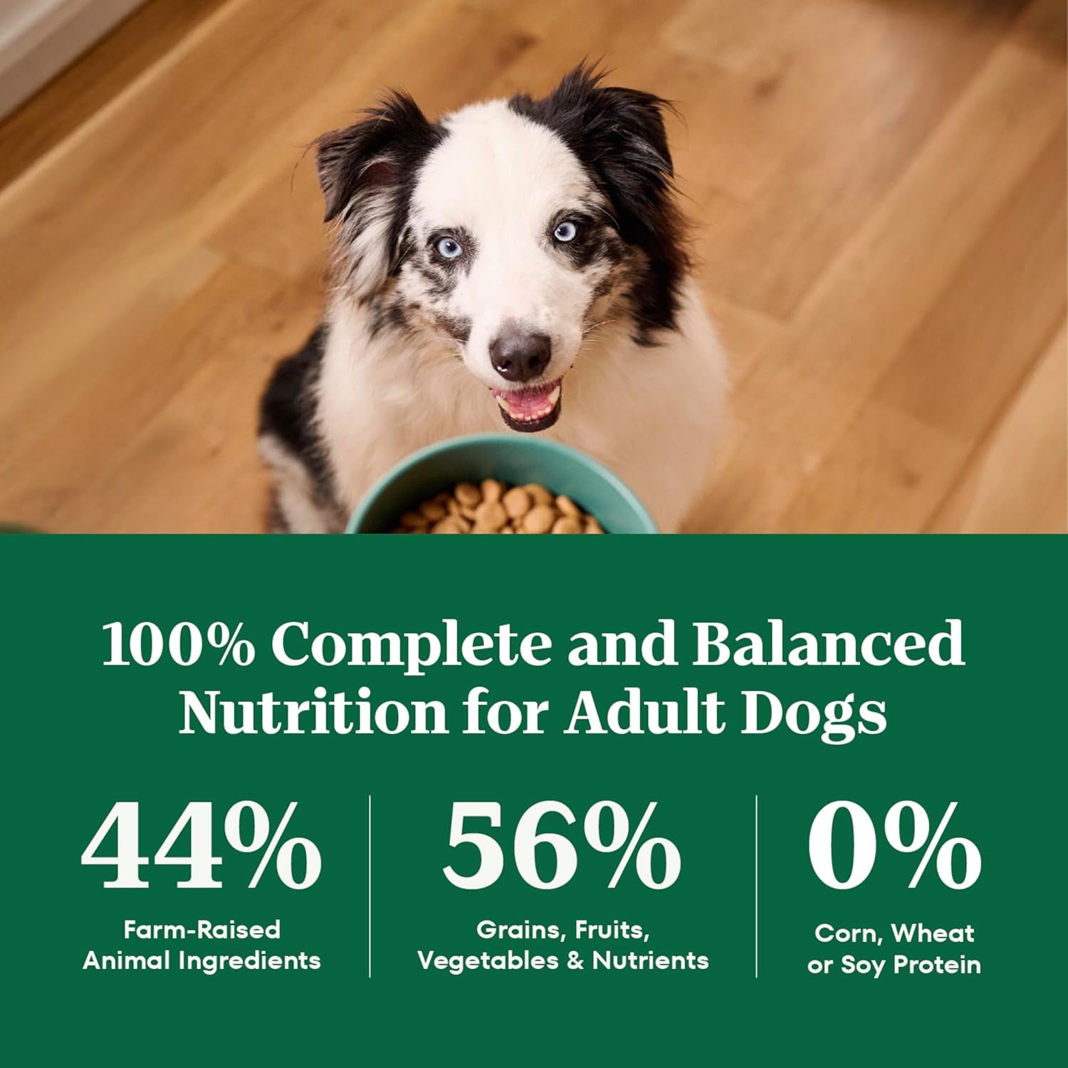 nutro-natural-choice-adult-dry-dog-food-chicken-brown-rice-recipe-30-lb-non-gmo-real-chicken-1-ingredient-no-corn-wheat-soy-or-chicken-by-product-meal-supports-skin-coat-digestion-immunity