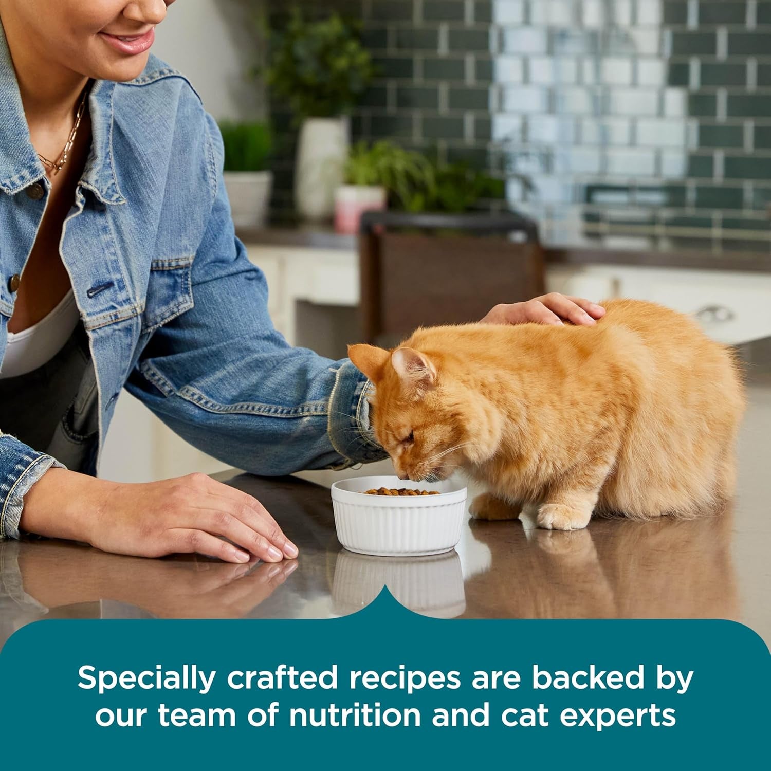 nutrish-dry-cat-food-salmon-brown-rice-recipe-14-lb-bag-rachael-ray-suitable-for-cats-of-all-life-stages-no-artificial-flavors-nature-food-with-added-vitamins-minerals-nutrients