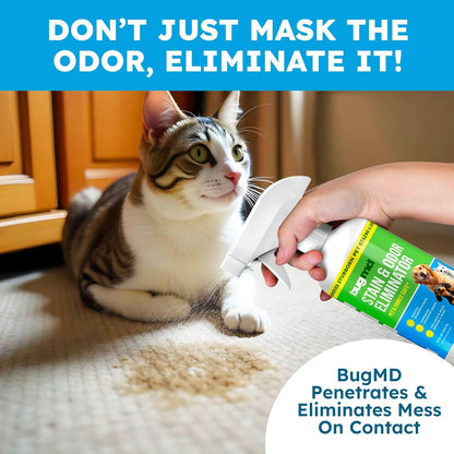 Bugmd Enzyme Cleaner for Dog & Cat Urine - Unscented | Pet Stain Destroyer, Odor Remover and Deodorizer for Carpet and Home | 32 Fl Oz5