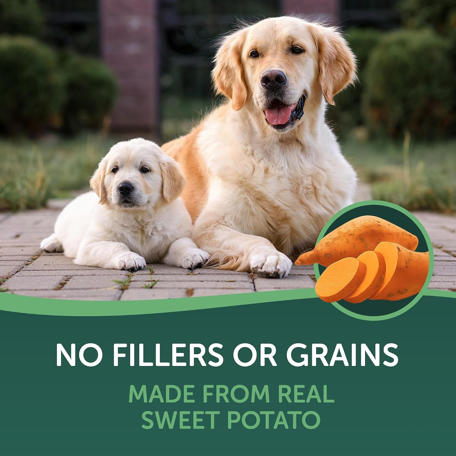 healthfuls-sweet-potato-slices-healthy-dog-treats-limited-ingredient-grain-free-made-from-real-dried-sweet-potatoes-16-oz