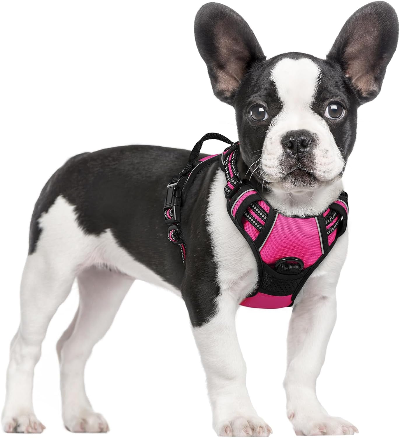 rabbitgoo-dog-harness-no-pull-for-large-dogs-with-2-leash-clips-pet-vest-no-choke-with-handle-adjustable-soft-padded-reflective-easy-control-for-walking-black-large