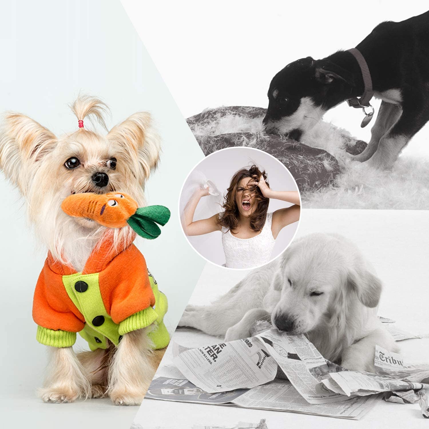 nocciola-dog-squeaky-toys-plush-small-dog-toys-for-dogs-stuffed-with-squeakers-12-pcs-puppy-toys-with-a-carrying-bag-for-small-medium-size