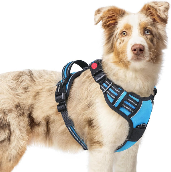 Rabbitgoo Dog Harness Medium Sized, Updated Easy on & off with 3 Buckles | No Pull No Choke, Walking with 2 Clips and Handle, Adjustable Soft Reflective, Blue, Medium36