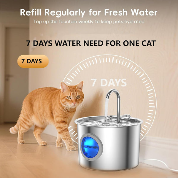 Cat Water Fountain Advanced 304 Stainless Steel 2.2L/74Oz with Detachable Tank, Easy to Clean, Automatic Pet Fountain Quiet Cats Water Dispenser, Perfect for Cats Dogs Indoor2