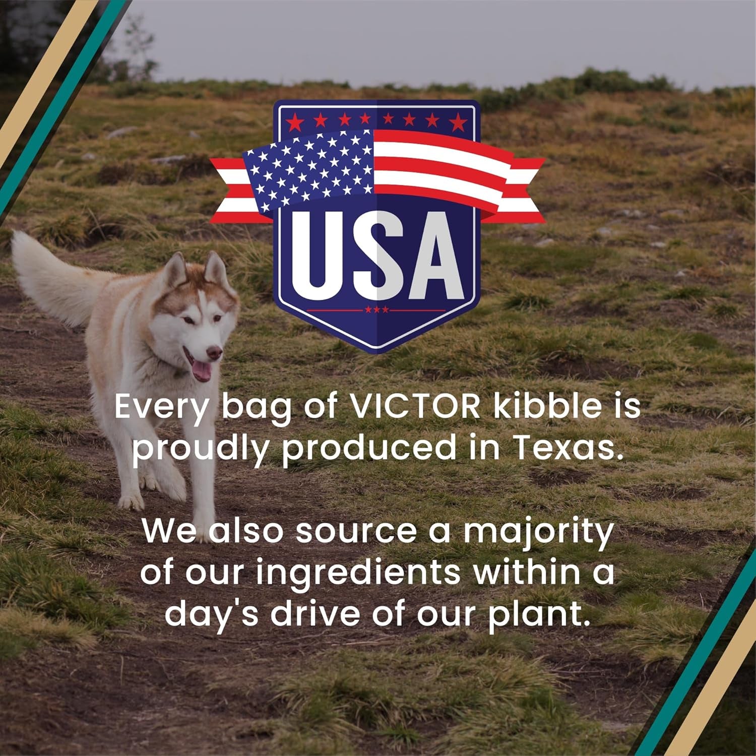 victor-super-premium-dog-food-hi-pro-plus-dry-kibble-high-protein-dog-food-with-30-protein-beef-chicken-pork-fish-meals-gluten-free-for-high-energy-and-active-dogs-puppies-40lbs