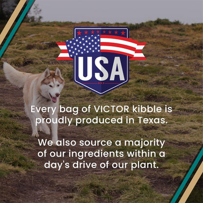 VICTOR Super Premium Dog Food – Hi-Pro plus Dry Kibble – High Protein Dog Food with 30% Protein – Beef, Chicken, Pork, Fish Meals, Gluten Free - for High Energy and Active Dogs & Puppies, 40Lbs10