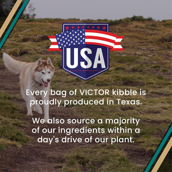 VICTOR Super Premium Dog Food – Hi-Pro plus Dry Kibble – High Protein Dog Food with 30% Protein – Beef, Chicken, Pork, Fish Meals, Gluten Free - for High Energy and Active Dogs & Puppies, 40Lbs10