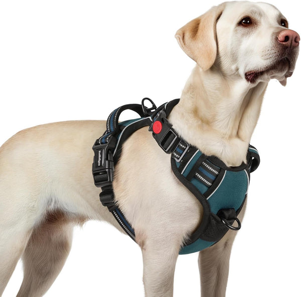 Rabbitgoo Dog Harness Medium Sized, Updated Easy on & off with 3 Buckles | No Pull No Choke, Walking with 2 Clips and Handle, Adjustable Soft Reflective, Blue, Medium13