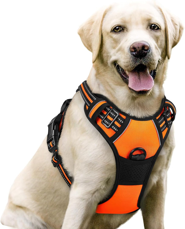 Rabbitgoo Dog Harness, No Pull for Large Dogs with 2 Leash Clips, Pet Vest | No Choke with Handle, Adjustable Soft Padded, Reflective, Easy Control for Walking, Black, Large58