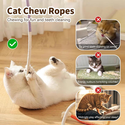 Interactive Cat Toys for Indoor Cats, 3 Chew Ropes 1 Silvervine Stick | with Gall Fruit, Refillable Catnip, Interactive Kitten Toys & Teething Toys, Safe Teeth Cleaning for All Breeds (19.5 Inches)2