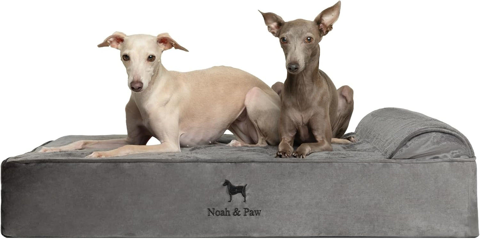 noah-paw-large-dog-bed-35x25x8-7-inch-orthopedic-dog-beds-eggshell-memory-foam-infused-with-cooling-gel-water-resistant-machine-washable-includes-inner-cover-velvet-collection