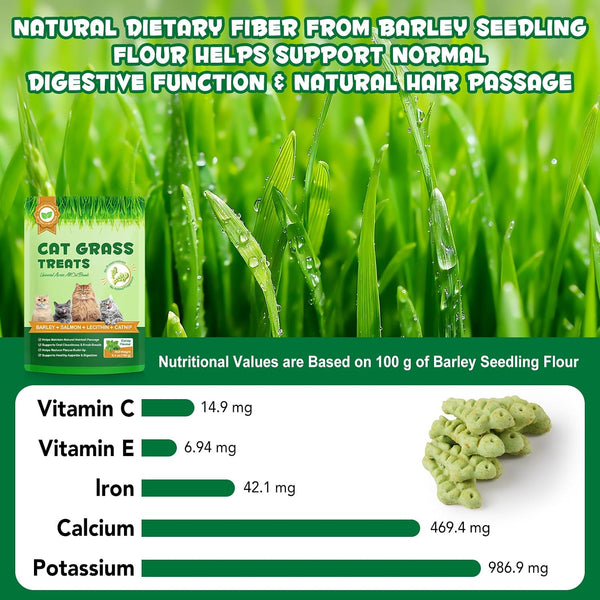 180G/6.4Oz Cat Grass Treats for Hairball Control, Natural Teeth Cleaning & Fresh Breath, Crunchy Catnip Flavored Biscuits with Barley Grass, Cat Training Rewards for All Breeds8