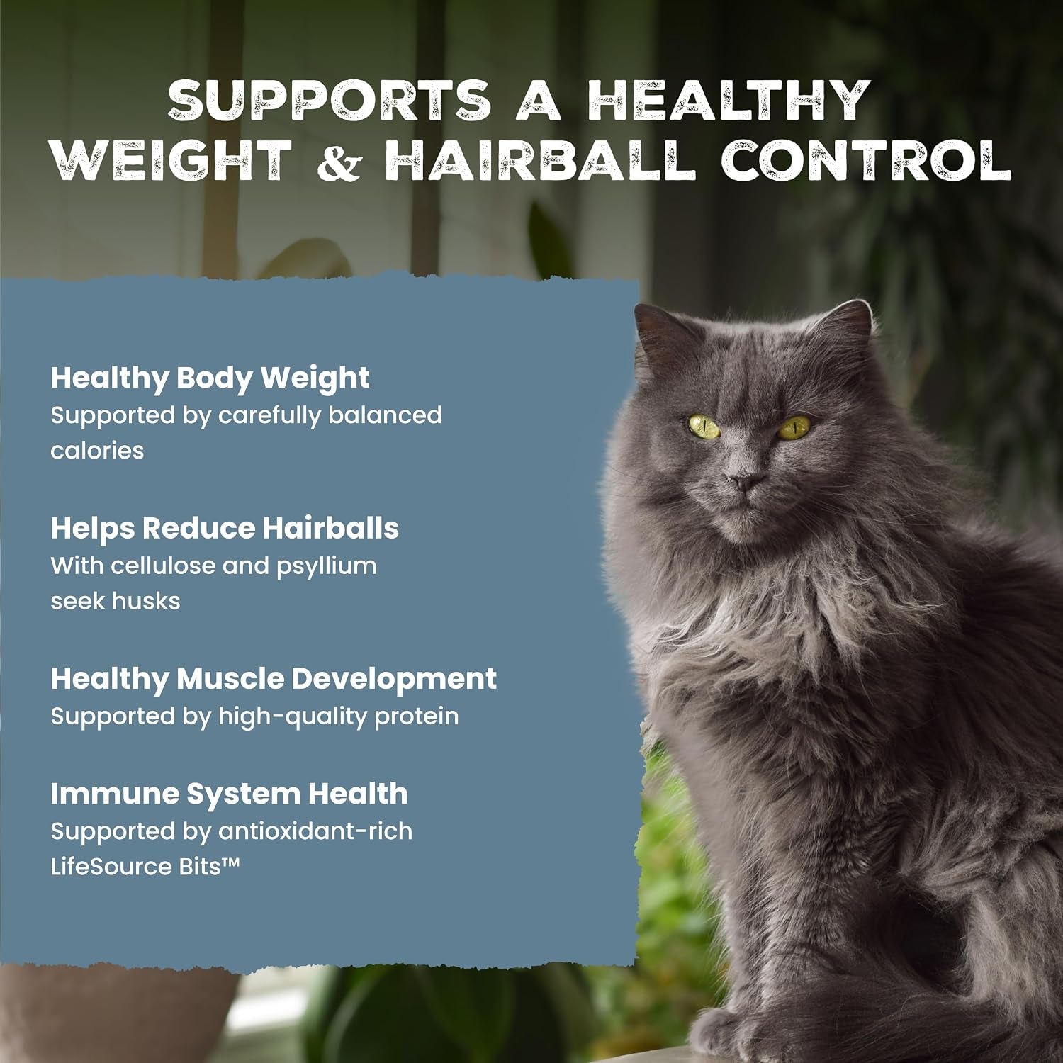 blue-buffalo-wilderness-indoor-hairball-weight-control-dry-cat-food-11lb-high-protein-real-chicken-1-ingredient-supports-a-healthy-weight-in-adult-cats-promotes-healthy-digestion