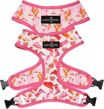 Lucy & Co. Reversible Dog Harness - Water-Repellent Neoprene, Dual-Print Design, Easy Swap Style, Adjustable Comfort Fit - Take a Bow Reversible Harness - Small19