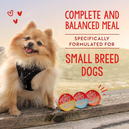 Stella & Chewy'S Lil Bites Savory Stews for Small Breeds Chicken Dinner in Broth, 2.7 Oz. Cups (Pack of 12)7