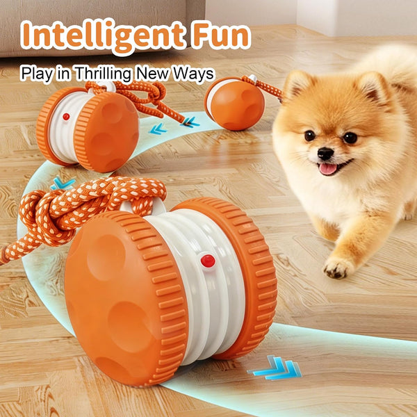 Interactive Dog Toys, Automatic Rolling Ball with Rope, Orange | Motion-Activated Play, Random Path Electric Dog Ball, Bird Sounds, Mental Stimulation for Boredom Relief2
