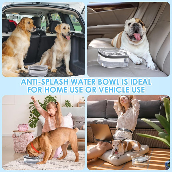 3L No Spill Dog Water Bowl with Slow Drinking Disk(Gray) | Clear Acrylic, Easy Water Check, Non-Slip Pads, Slobber Stopper Splash Proof Water Bowl for Sloppy Messy Drinkers Reduce Mess6