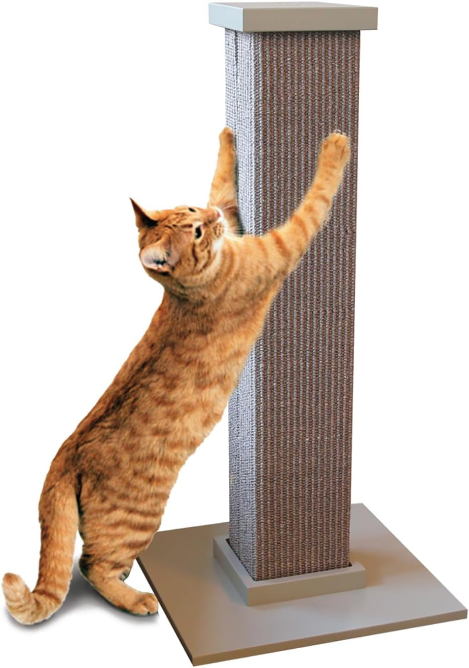 smartcat-pioneer-pet-ultimate-scratching-post-beige