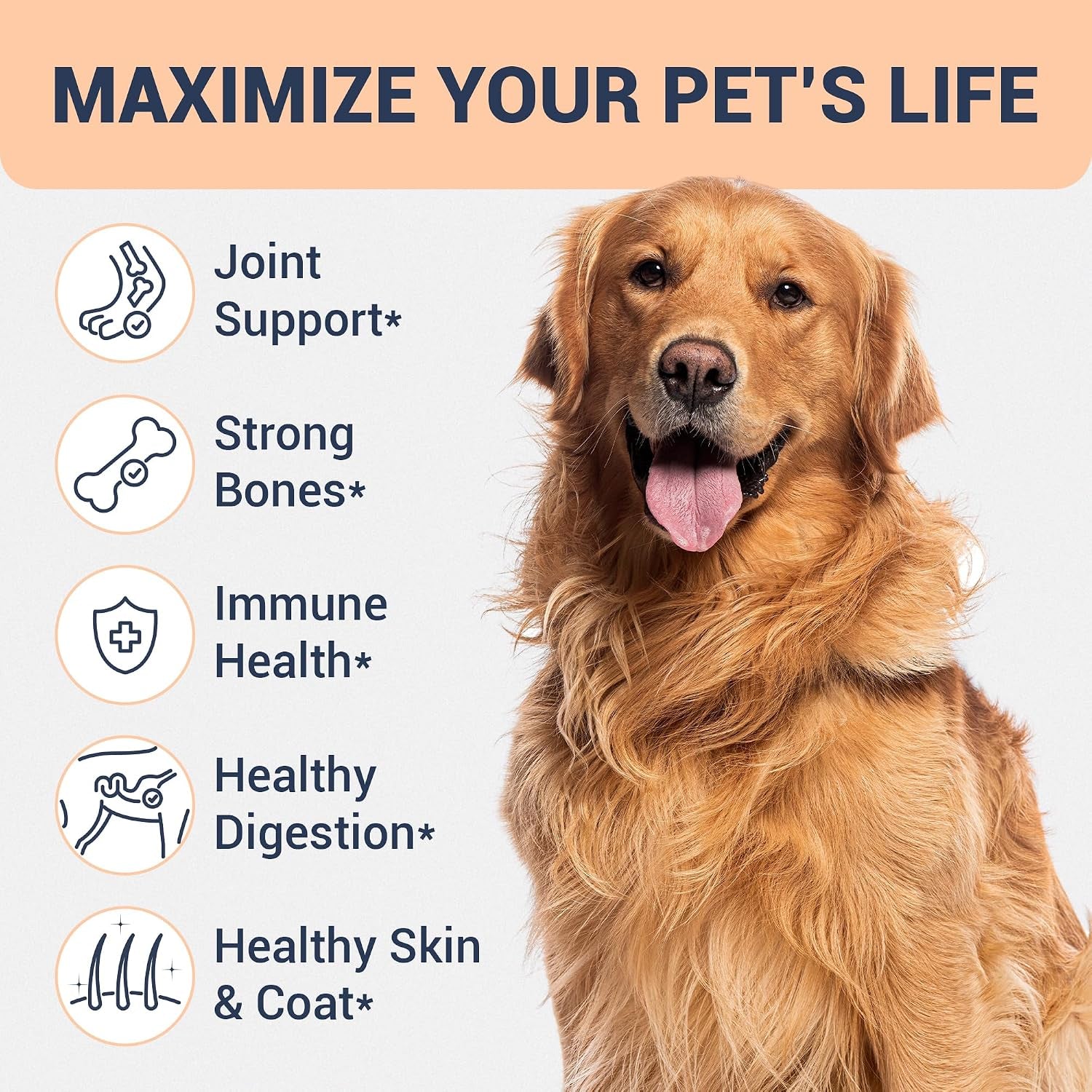 beef-bone-broth-for-dogs-high-protein-human-grade-food-topper-for-joint-bone-immune-digestive-skin-coat-support-single-ingredient-dog-bone-broth-unflavored-powder-for-all-ages-breeds