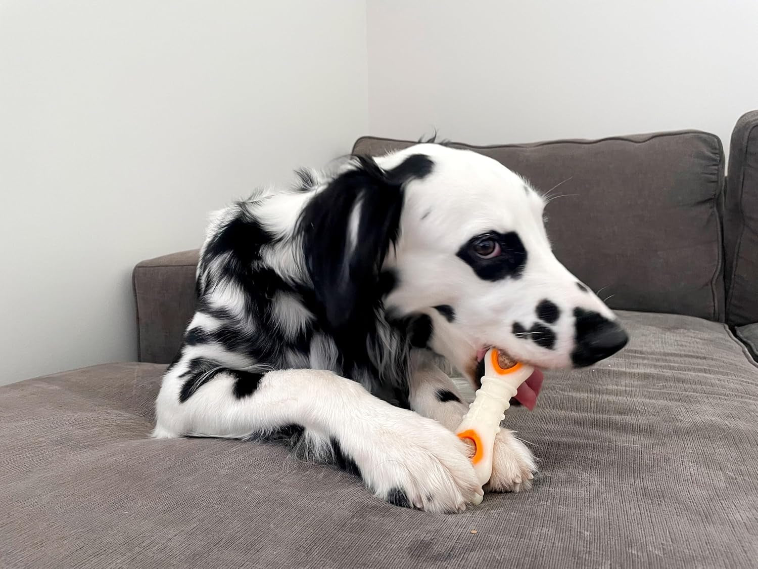 nylabone-pop-in-treat-toy-chicken-dog-treat-refills-90-count-made-with-real-chicken-fits-any-nylabone-pop-in-treat-toy-all-natural-dog-treats-highly-digestible-limited-ingredients