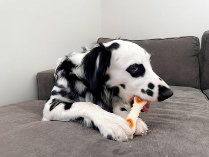 Nylabone Pop-In Treat Toy Chicken Dog Treat Refills, 90 Count | Made with Real Chicken, Fits Any Nylabone Pop-In Treat Toy, All-Natural Dog Treats, Highly Digestible, Limited Ingredients6