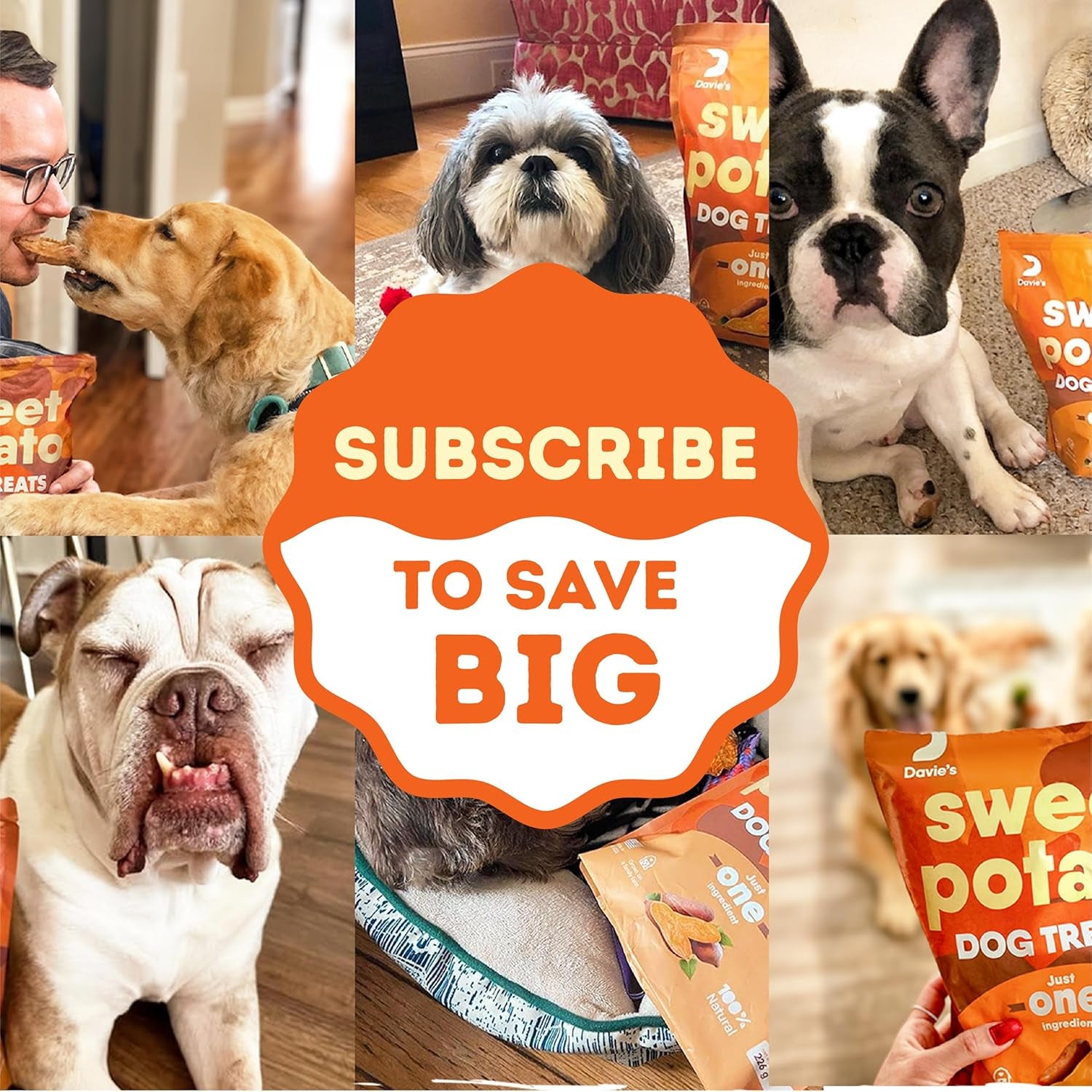 davies-sweet-potato-dog-treats-healthy-natural-dog-chews-low-fat-1-lb-bag