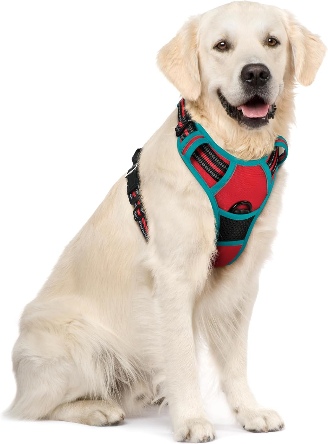 rabbitgoo-dog-harness-no-pull-for-large-dogs-with-2-leash-clips-pet-vest-no-choke-with-handle-adjustable-soft-padded-reflective-easy-control-for-walking-black-large