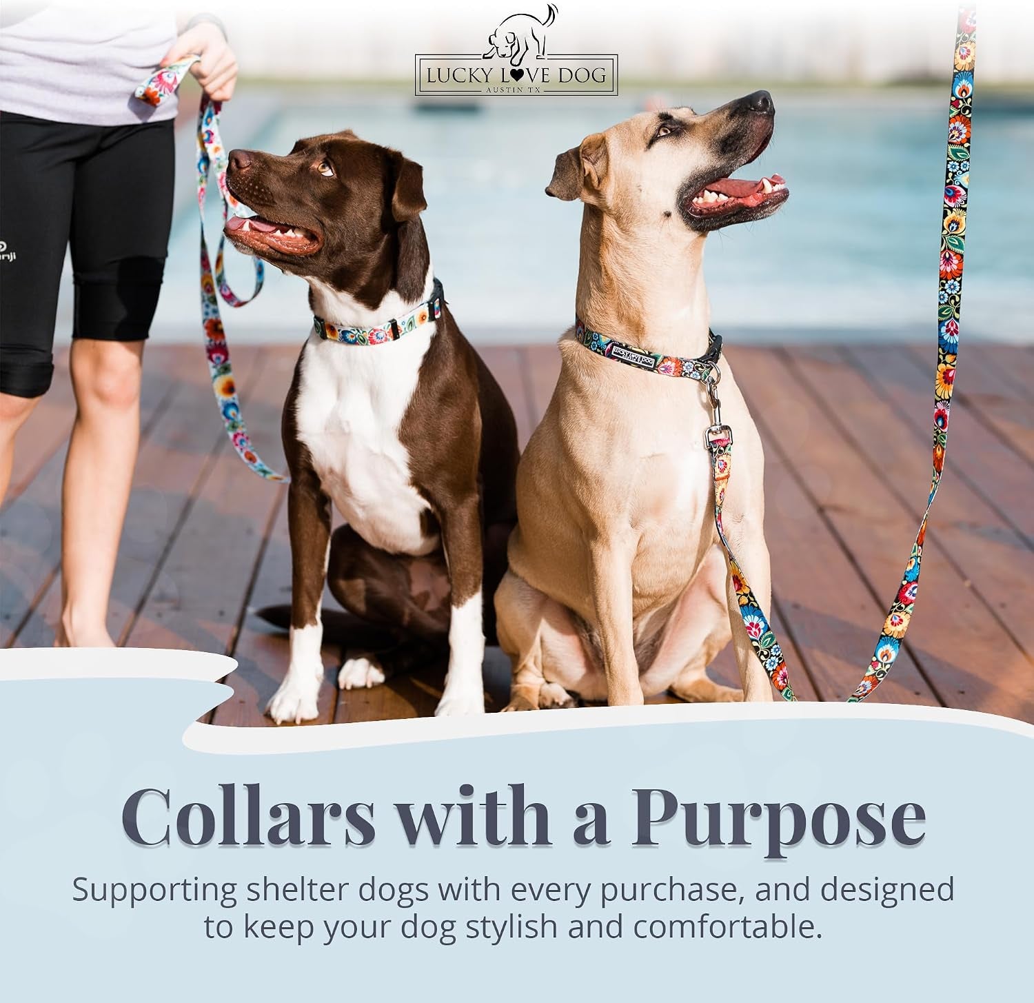 lucky-love-dog-easy-click-buckle-dog-collar-with-leash-set-combo-durable-comfortable-for-male-female-dogs-pet-collar-for-medium-dogs-secure-fit-blackbird-combo-medium